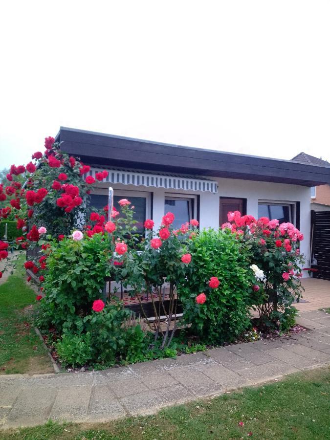 Fewo Isla 1 Elmenhorst/Lichtenhagen ภายนอก รูปภาพ
